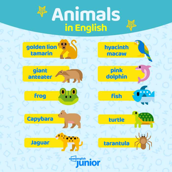 150 Animais Em Inglês Para O Seu Filho Aprender Brincando!